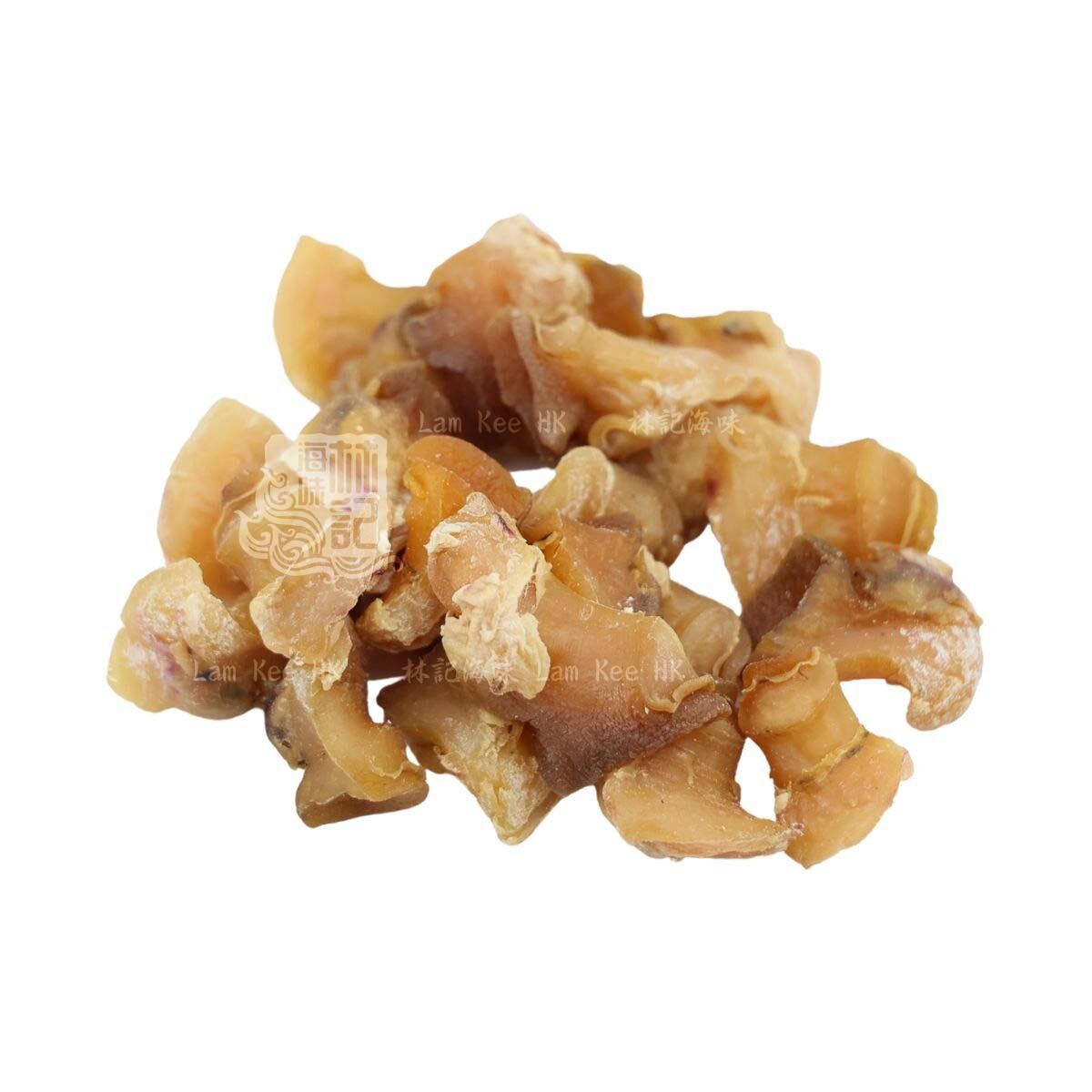 特級白螺頭  白螺 響螺