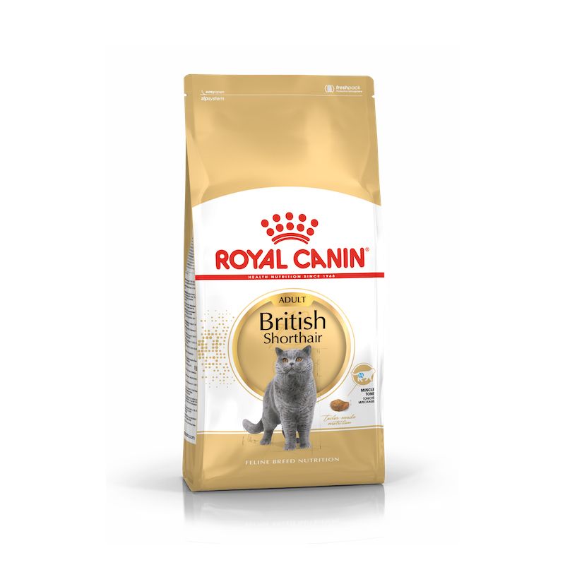FBN British Shorthair Adult Cat Food 4kg - ROYAL CANIN CAT FOOD【BSH】
