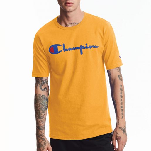 Champion gt19 outlet