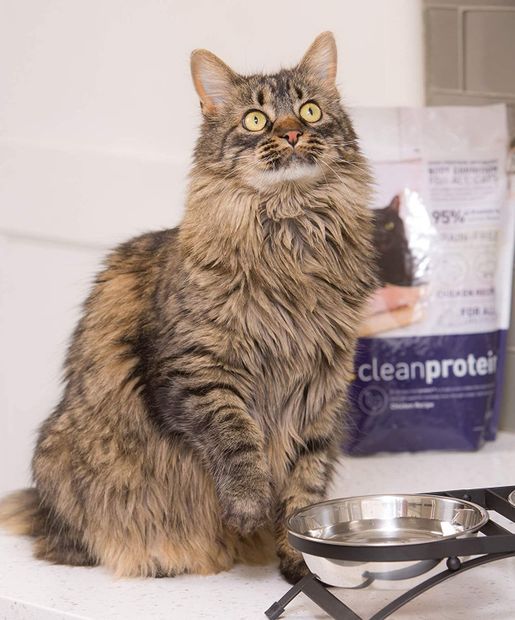 Dr. Elsey s Cleanprotein Chicken Recipe Grain Free Dry Cat Food