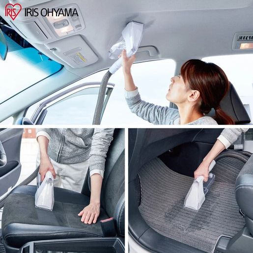 IRIS OHYAMA, IRIS RNS-300 Rinser Cleaner Cleaning Sofa Carpet Car Seat  Parallel Import