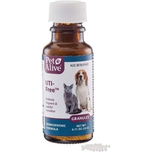 Dog cystitis hotsell natural remedies