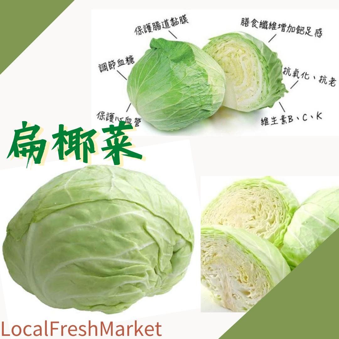 Cabbage 台灣大扁椰菜(600-800g)