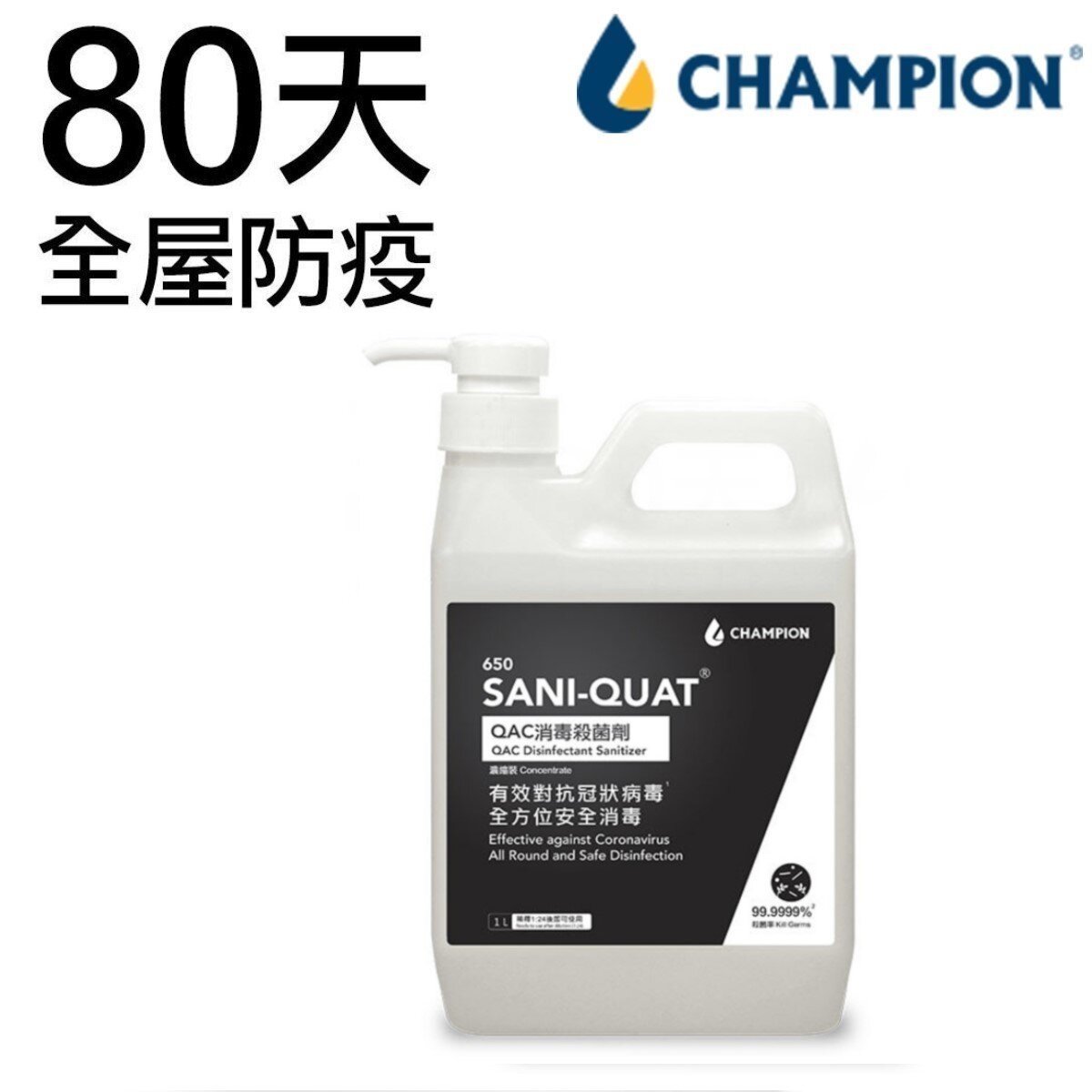 SANI-QUAT Household Disinfectant and Sanitizer Pack (Spray against Coronavirus - Safe Formula)
