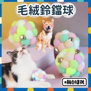 Buy Dog Learning Toys in Hong Kong