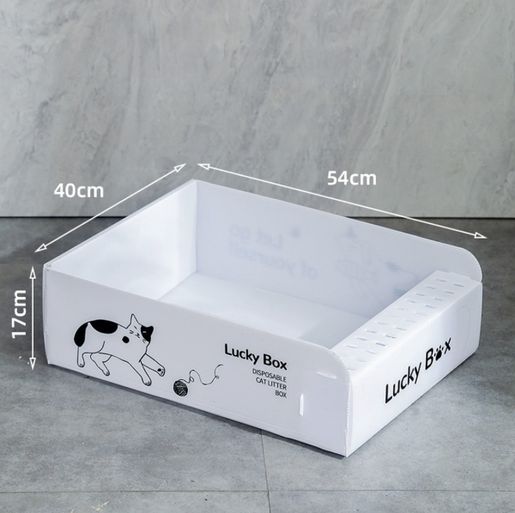 Temporary cat hot sale litter