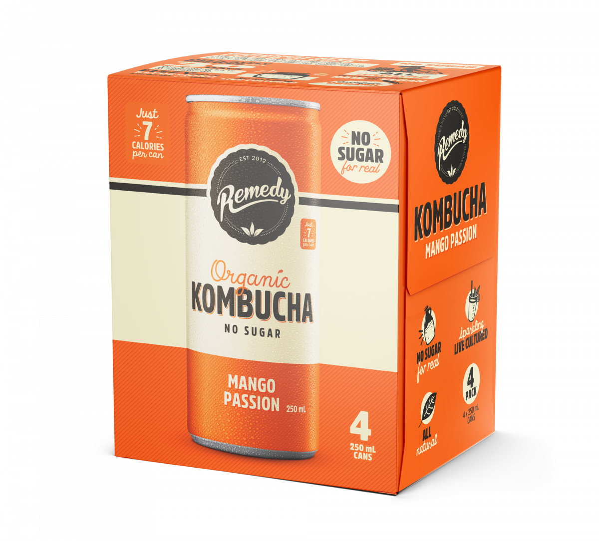 Remedy drinks - 有機紅茶菌 (Kombucha) 芒果熱情果味 (4罐 x 250 ml) 此日期前最佳 2024年5月17日