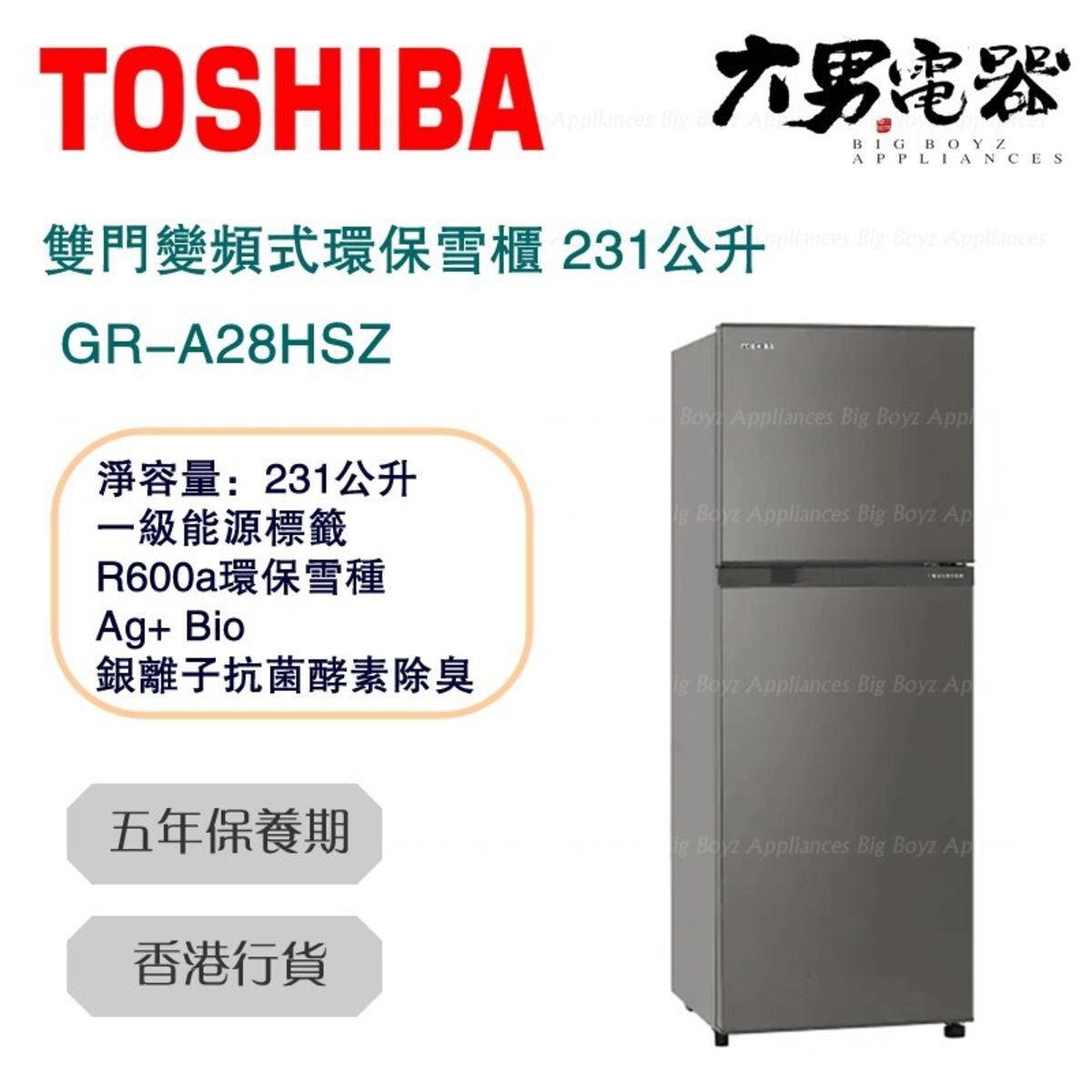 toshiba gr a28hsz