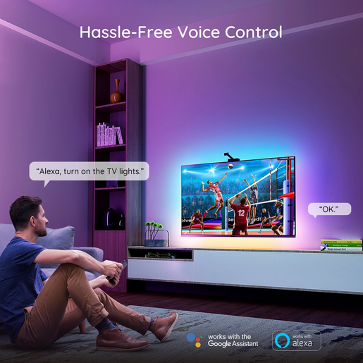 govee immersion 65 inch tv