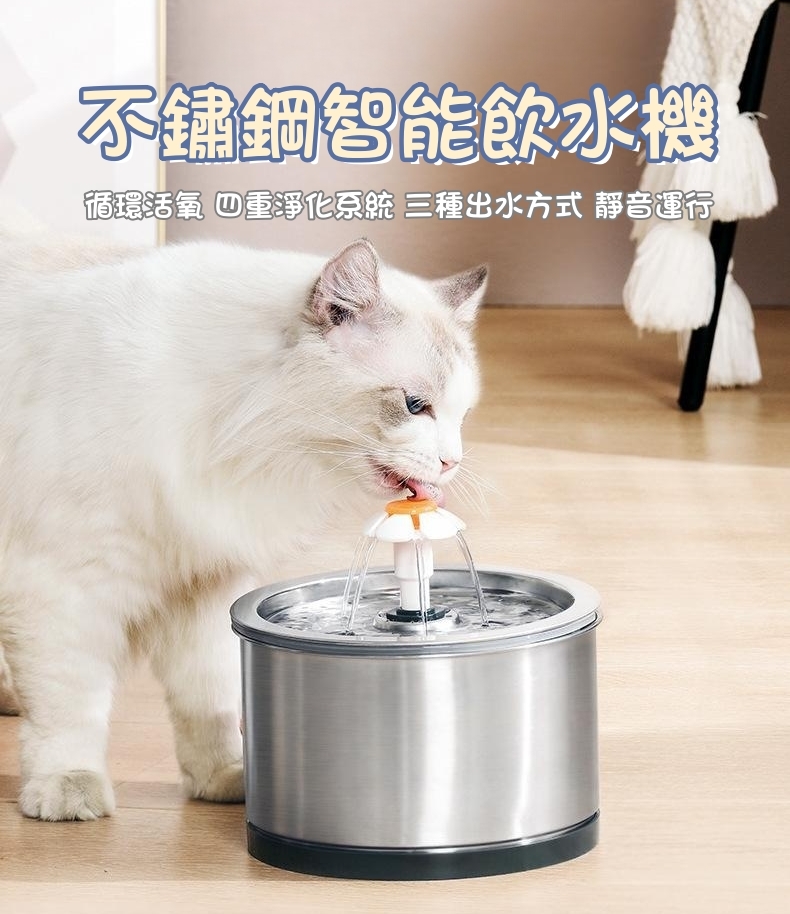 Pet Water Dispenser