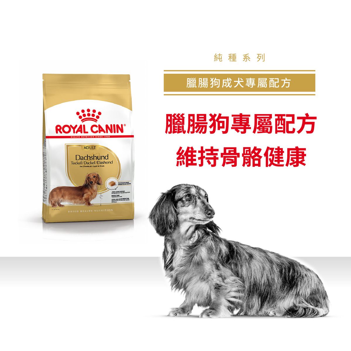 Royal Canin Breed Health Dachshund Dry Puppy Food 1.5kg