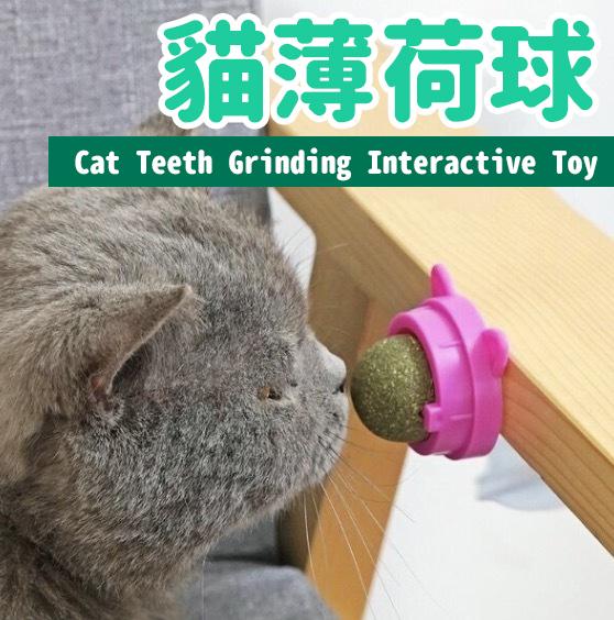 Catnip Ball Cat Teeth Grinding Interactive Toy (Random Color)