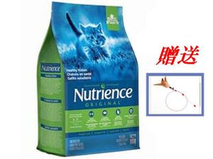 Nutrience hotsell kitten food