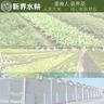 CUCUMBER 小青瓜 (350-400G)