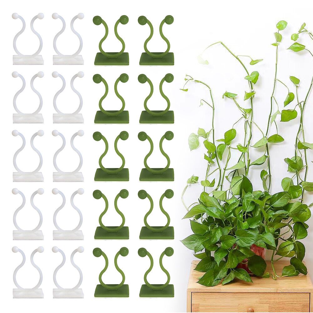 White Medium 10pcs Invisible Plant Climbing Wall Clip Sticky Hook Vines Fixing Rattan Clips