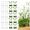 White Medium 10pcs Invisible Plant Climbing Wall Clip Sticky Hook Vines Fixing Rattan Clips