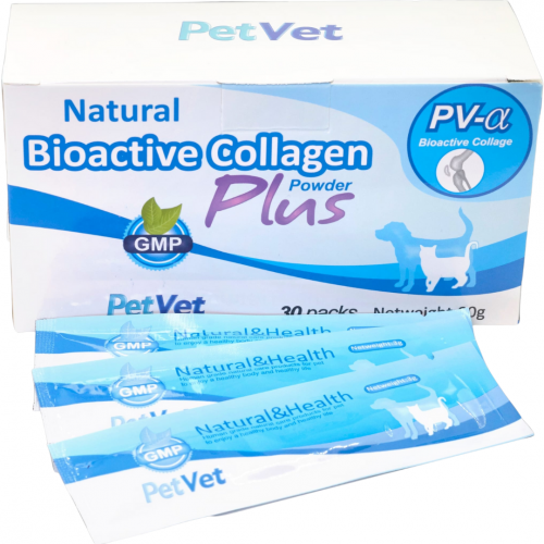 Bioactive Collagen Plus 3G x 30 [For Cats and Dogs] #PV-a (EXP: 04-Oct-2027)