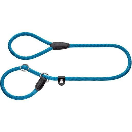 Hunter retriever 2024 leash freestyle