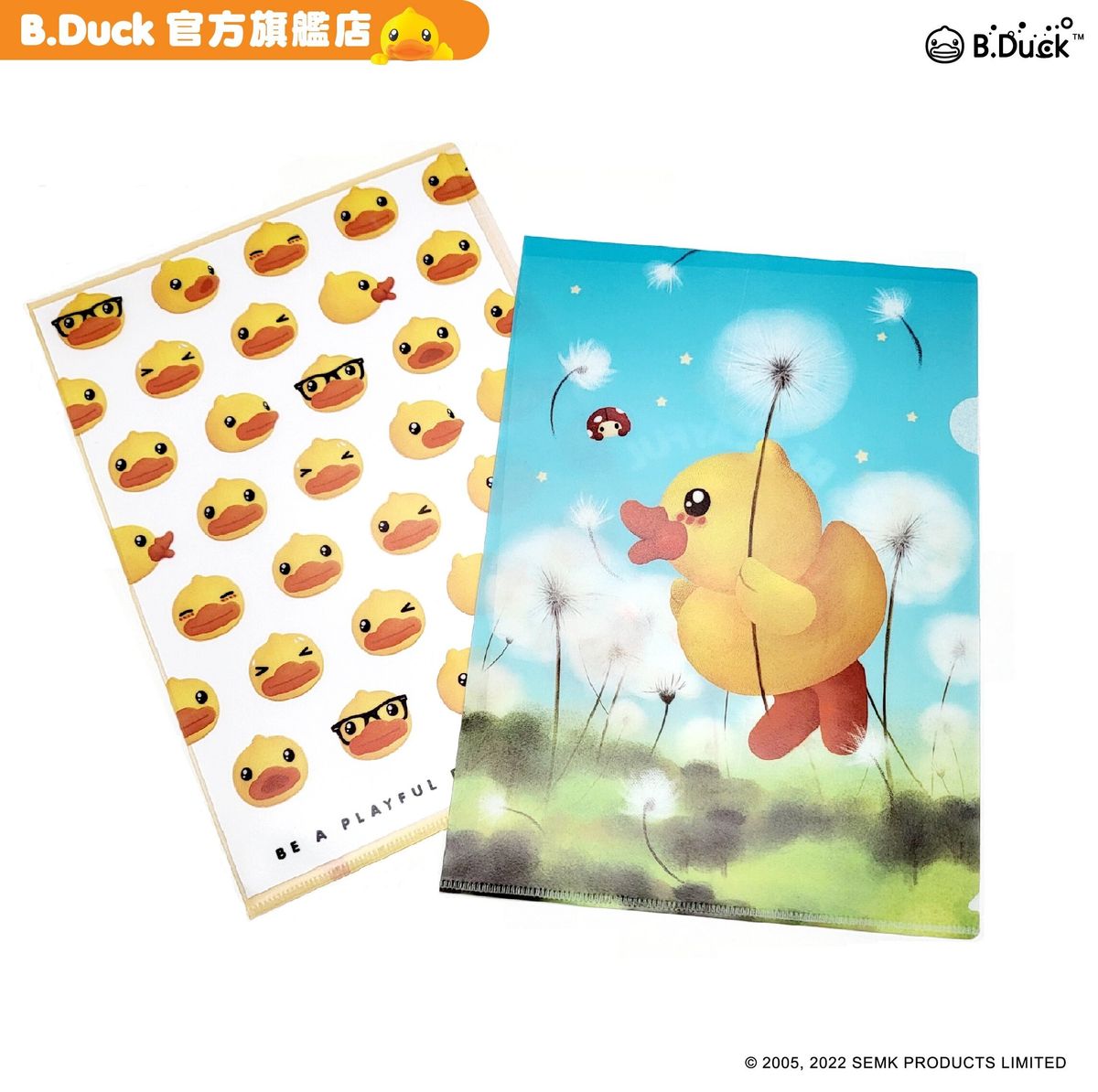 Plastic folder (A set of two)