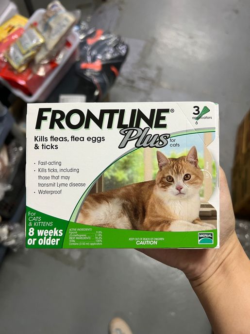 FRONTLINE Kills Fleas Flea Eggs Ticks for Cat 3p 8 Weeks or