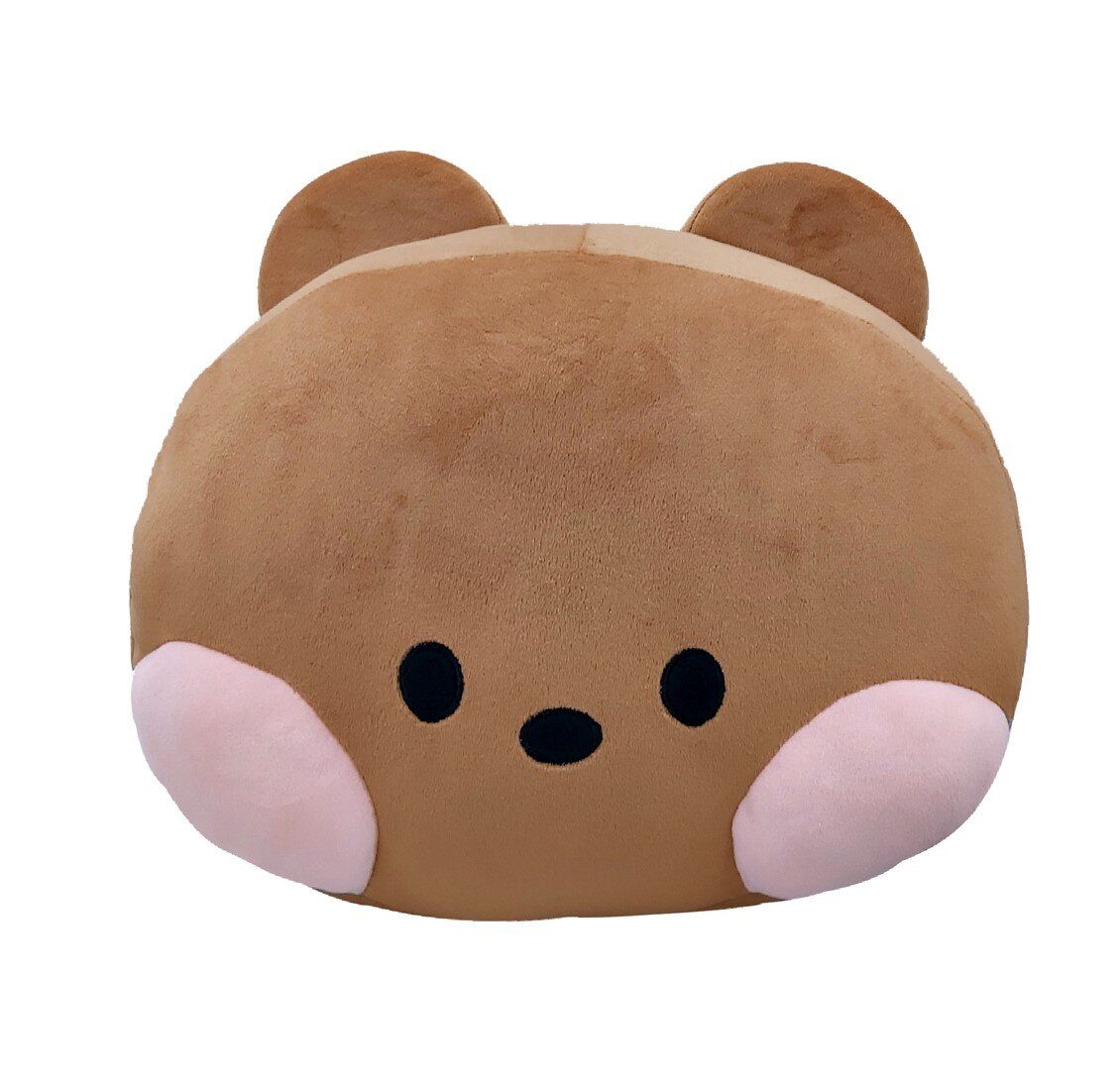 LINE FRIENDS | 公仔毛絨抱枕/攬枕-BROWN(可插手) | HKTVmall 香港最大網購平台