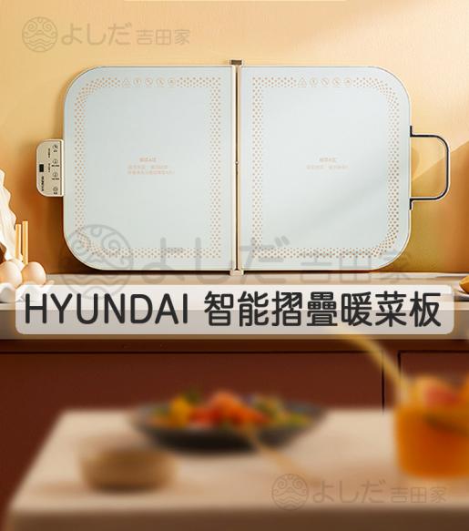 Folding Food Warming Board