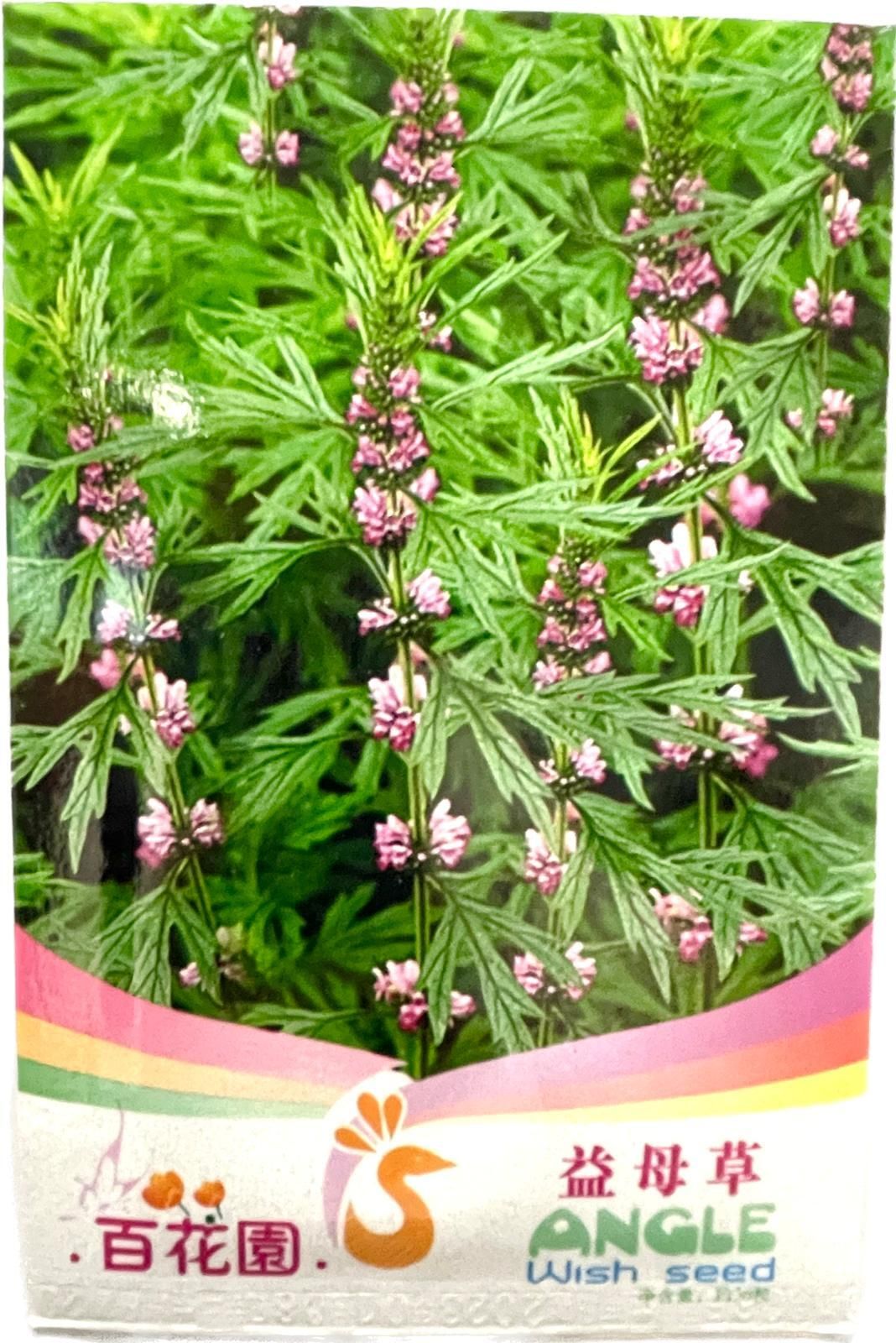 Leonurus artemisia seeds ( 2 packs )