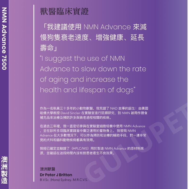 VetPRO+ | VetPRO Cat & Dog Supplement - NMN Advance (60 Capsules ...
