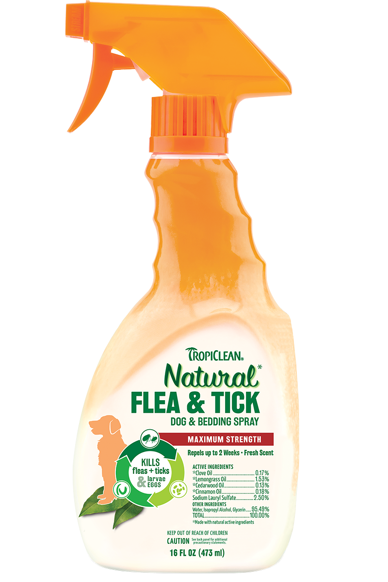 flea tick control