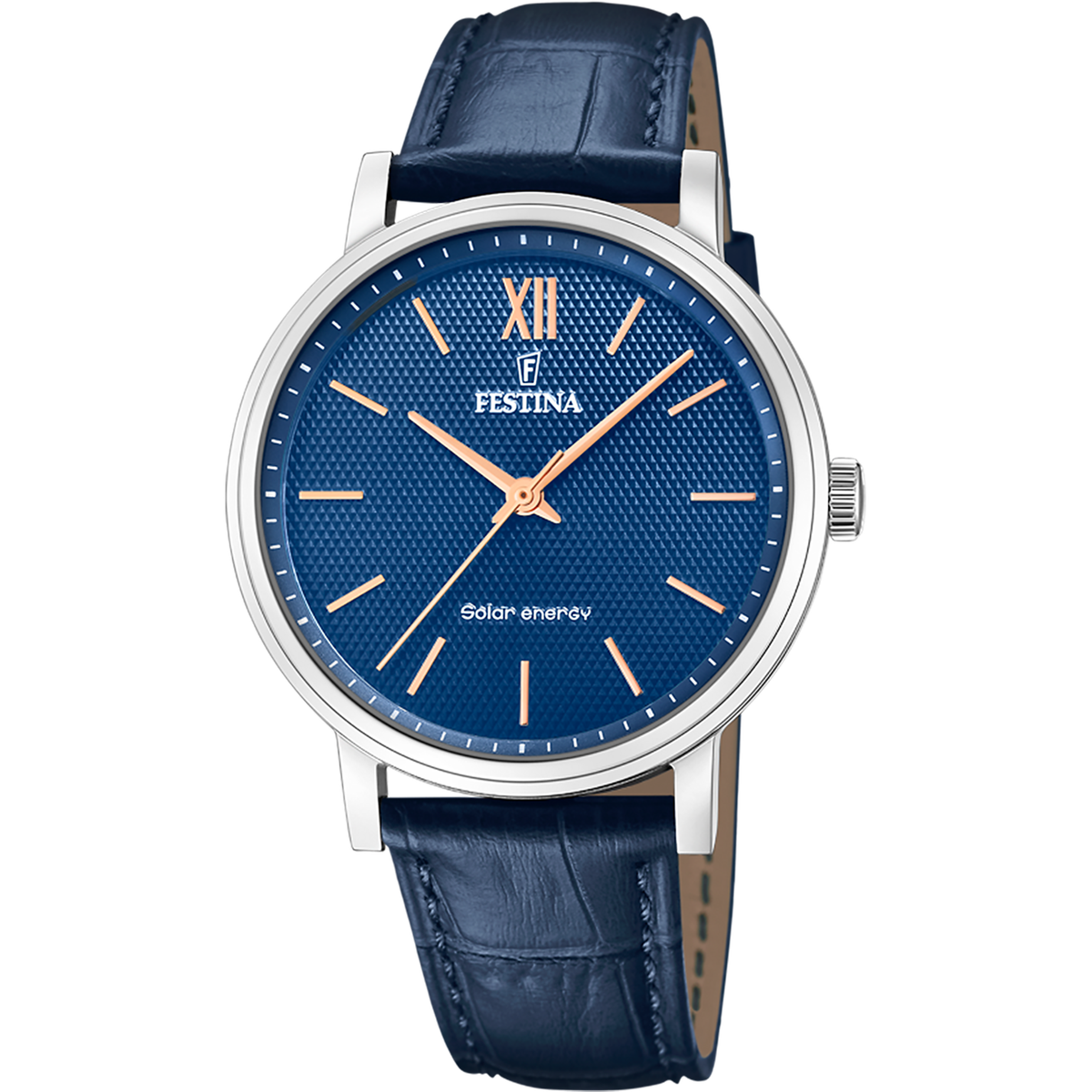 Festina 男裝太陽能皮帶手錶  F20660_4