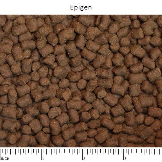 Epigen dog clearance food