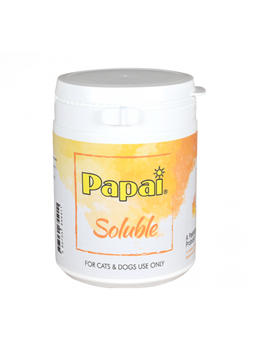 Soluble Gastrointestinal Health For Cats & Dogs 150g