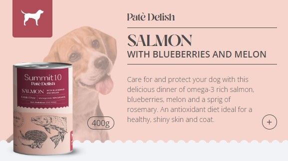 Summit 10 - 無穀物天然狗狗罐頭 (三文魚+藍莓+蜜瓜) 400g 3