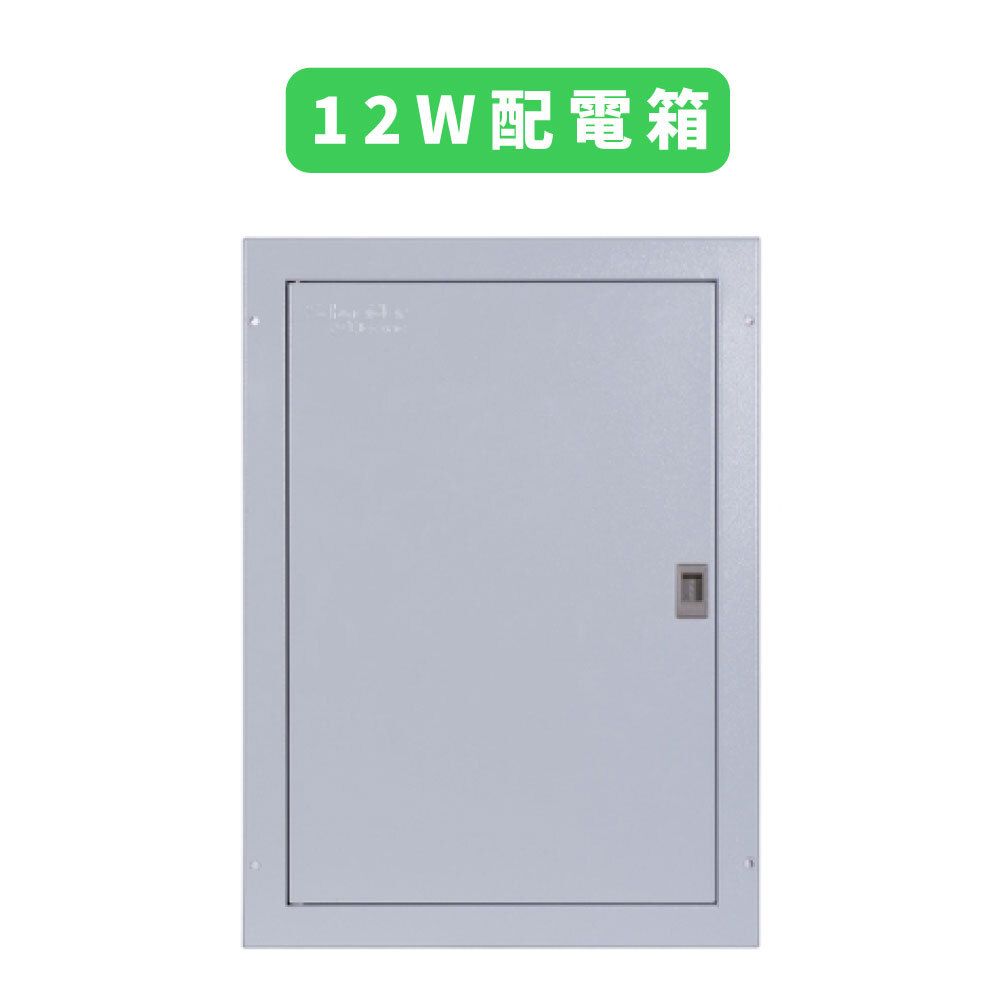 100A 12位 三相 微型斷路器 MCB/漏電保護斷路器 RCBO 箱帶總掣位(B17112R)