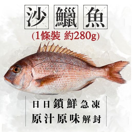Tastibuy 沙鱲魚 櫻鯛280g 已去除內臟及魚鱗 急凍 Hktvmall 香港最大網購平台