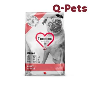 Grain-free hypoallergenic skin salmon adult dog food 2kg