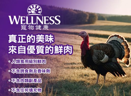 Wellness core small hot sale breed healthy weight