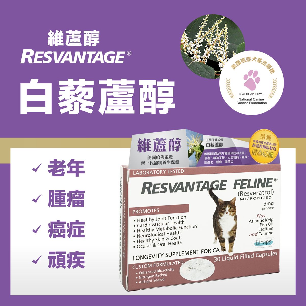 Resveratrol Feline  30 Caps