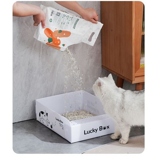 Monthly cat outlet litter