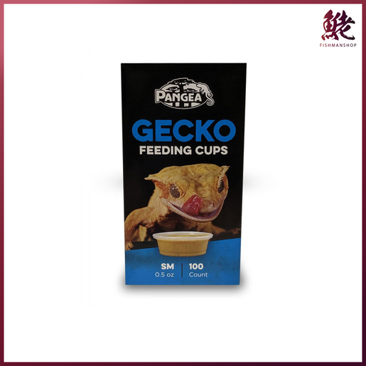 Gecko feeding outlet cups