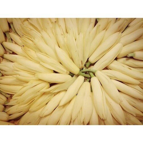 Kimature 天然護膚白蘭花天然固體香水15ml Hktvmall 香港最大網購平台