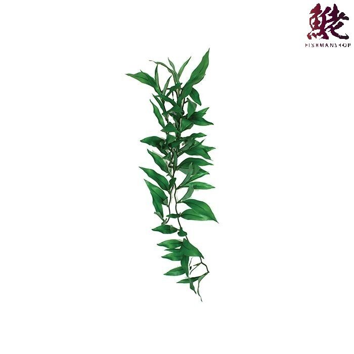 KOMODO Persian Lily Silk Vine 60cm (825253)