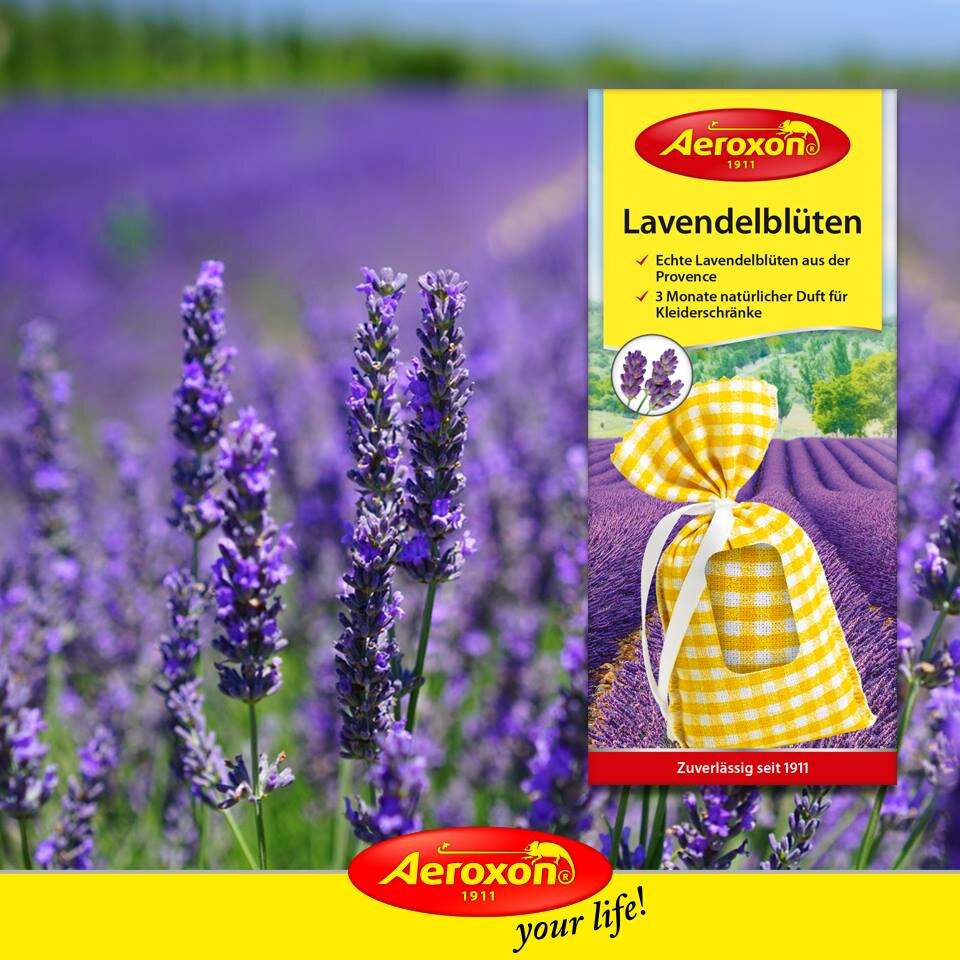 Aeroxon German Lavender Repellent Clothes Moth Pack(parallel import)