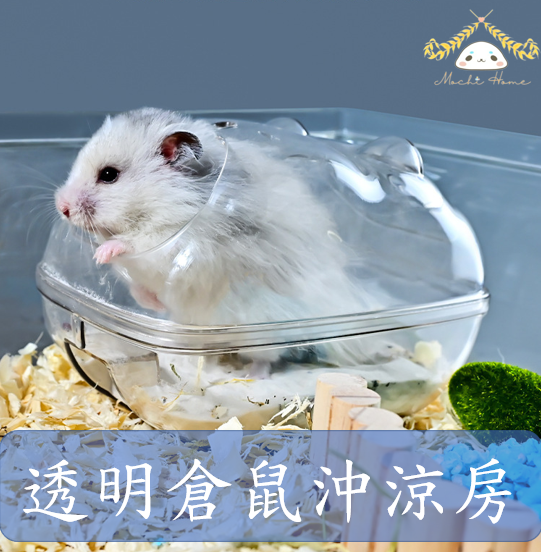 (大碼)透明倉鼠沖涼房 倉鼠廁所 倉鼠用品 寵物用品 16x11x11CM