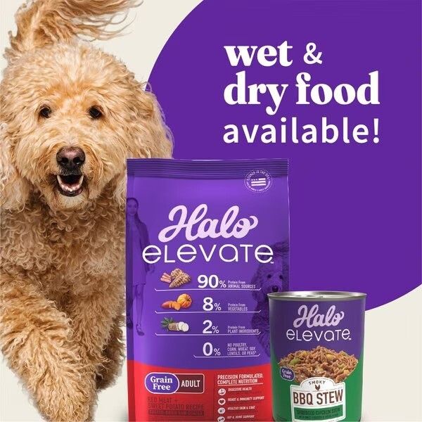 HALO Elevate Healthy Grains Red Meat Recipe Adult Dry Dog Food