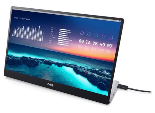 portable dell monitor