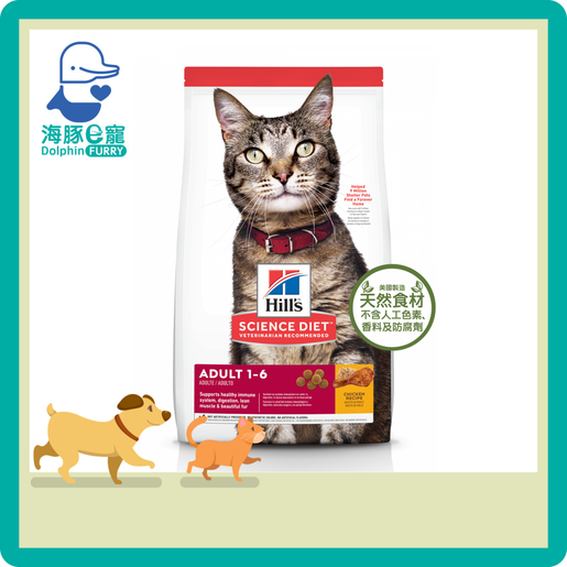 Hills cat hotsell food 10kg