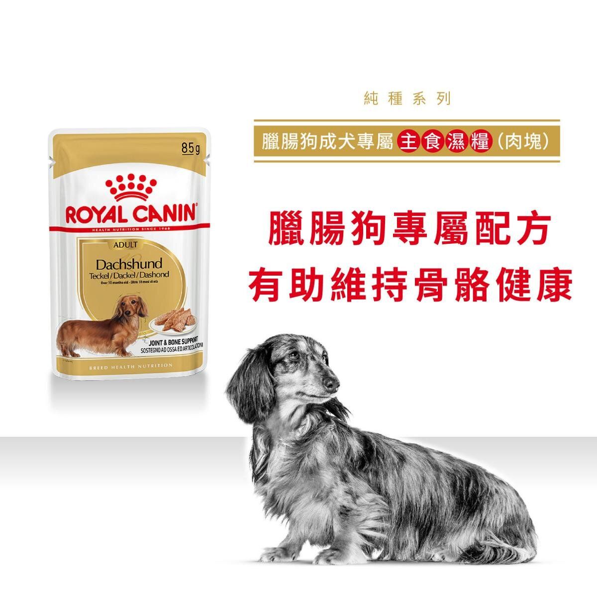 BHN 臘腸狗 成犬 專屬主食濕糧 (肉塊) 85克 ROYAL CANIN狗濕糧 