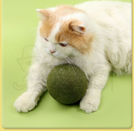 Giant hotsell catnip ball