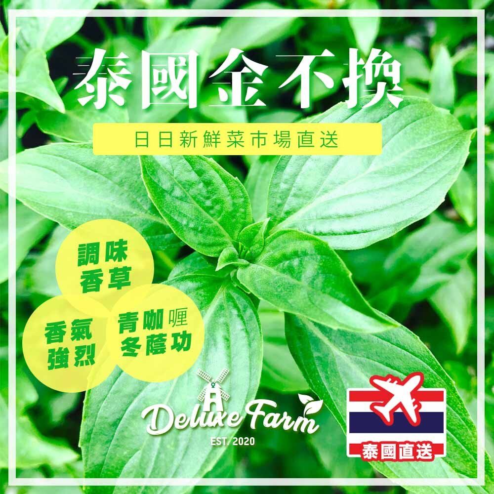 Deluxe Farm | 【泰國】新鮮金不換約150-200g | HKTVmall 香港最大網購平台